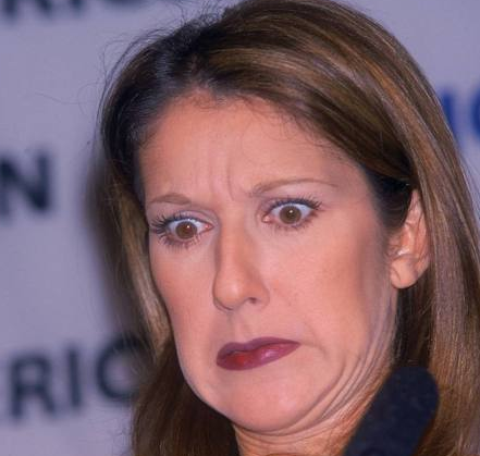 Ridiculous Pictures of Celine Dion