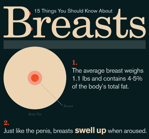 15 Things You Should Know About Breasts Infographic
