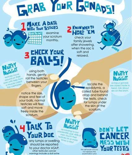 Grab Your Gonads! Know Your Testicles Infographic
