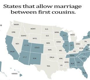 Cousin Marriage Vs. Gay Marriage Infographic