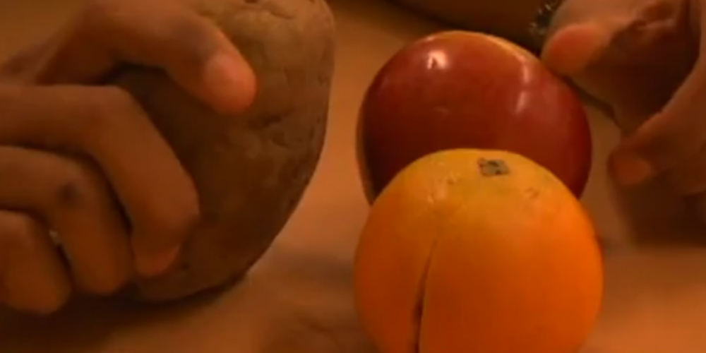 The Most Logical Argument Against Same-Sex Marriage: No Gay Potatoes