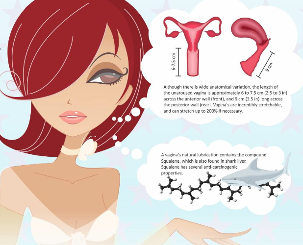 All Hail The Great Vagina (Infographic)