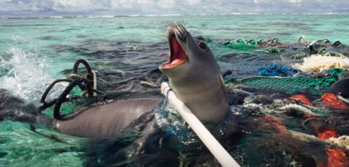 Jovem Gênio Projeta Plano Mestre Para Limpar os Oceanos do Mundo