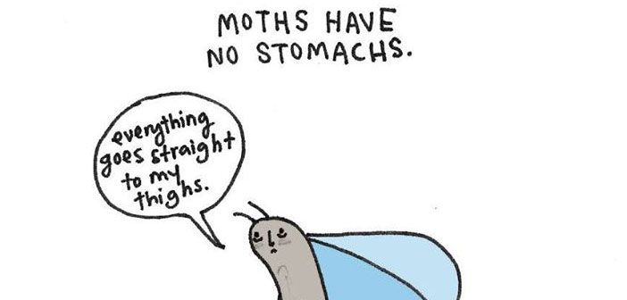Gassy Cows And Lonely Ferrets: 15 Sad Animal Facts