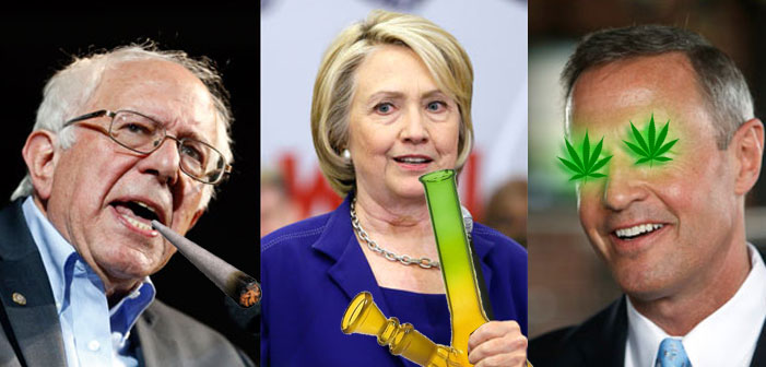 Here’s Bernie, Hillary And O’Malley’s Stances on Weed