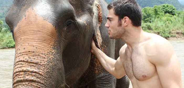 WATCH: Sexy Vet With Cute Pets And #WildBum Take Over Internet