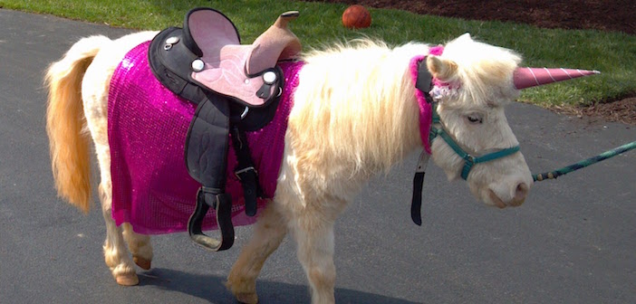 Your Mom Was Wrong: Unicorns ARE Real!