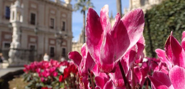 Spain – Europe’s Best Gay Travel Destination?