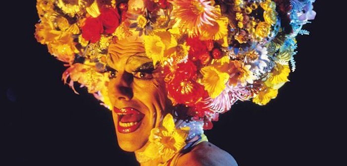 6 Coisas que Eu Amo & Odeio Sobre Priscila, a Rainha do Deserto