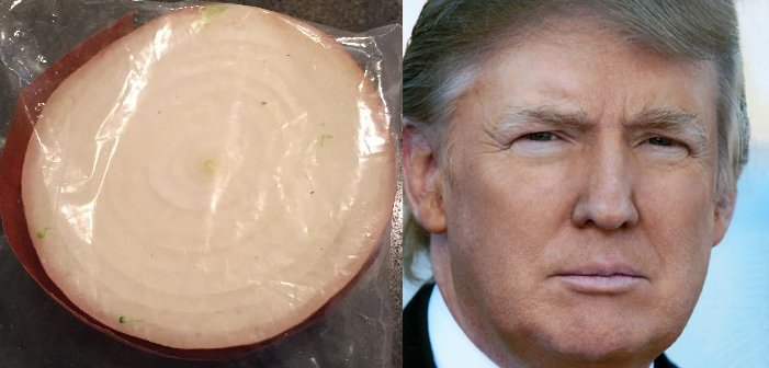 Can Half an Onion in a Bag Get More Twitter Followers than Donald Trump?