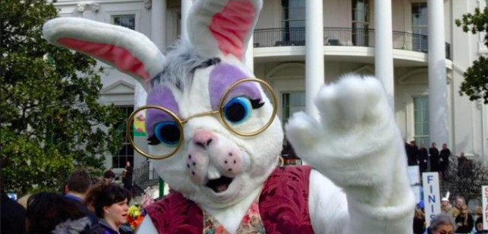 Sean Spicer Once Dressed Up as a Terrifying Easter Bunny at the White House (Photos)