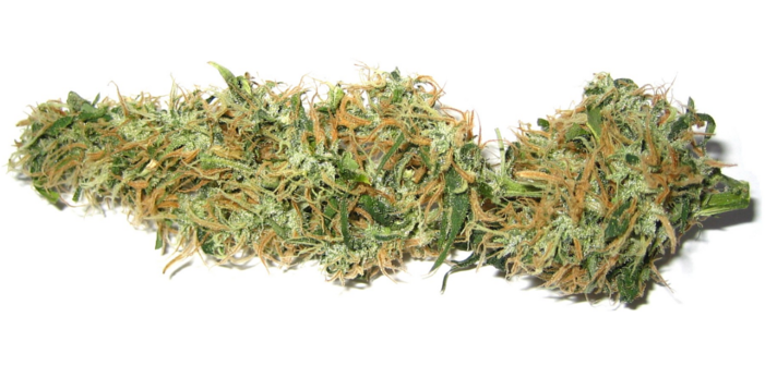 Don’t Smoke Weed — Put It Up Your Butt Instead, Doctor Says