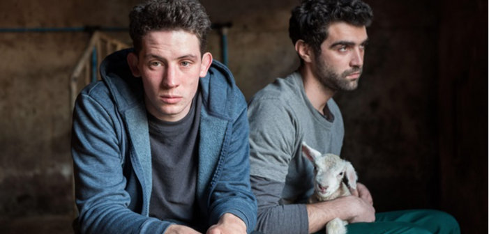 Découvrez la programmation du festival de films LGBT Teddy’s in Paris (vidéos)