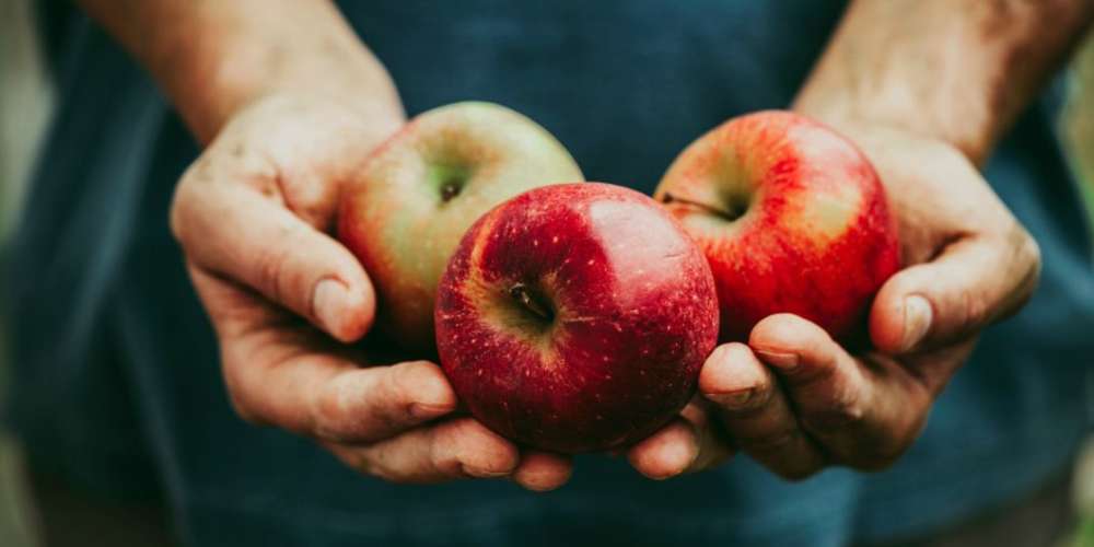 Anti-Gay Farmer Banned from Selling Fruit for Denying Same-Sex Couple’s Wedding