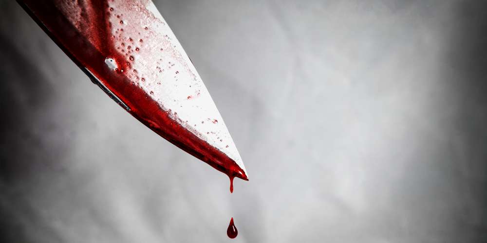 Motive Revealed in July Stabbing Death of Man by His Professor Boyfriend
