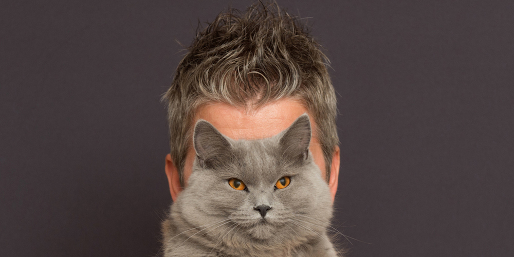 7 Traits That Prove Gay Men Are Exactly Like Cats