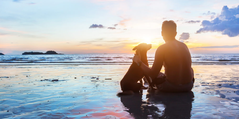 El Mejor Amigo del Hombre: 7 Razones por las que los Perros son Mejores que los Novios