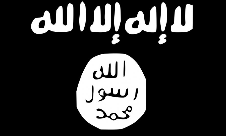 sex toy stories isis