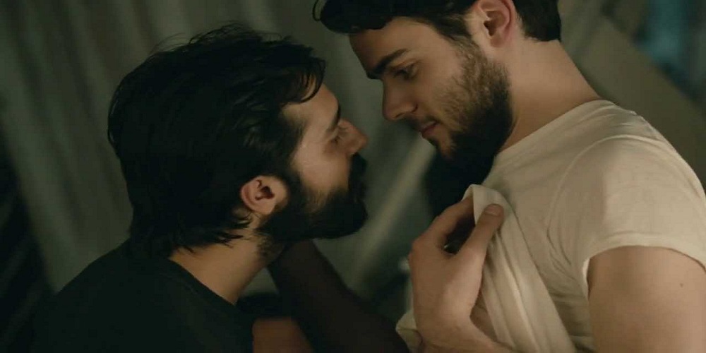 ¿Qué es la Androfilia y en Qué se Diferencia con la Homosexualidad?