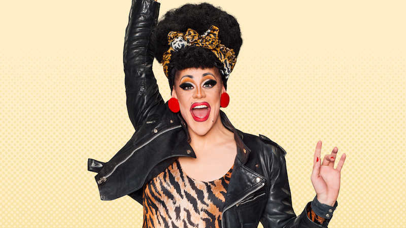 all stars 3 cast thorgy