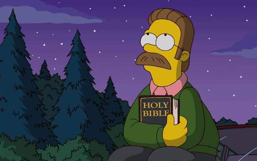 best mustaches ned flanders