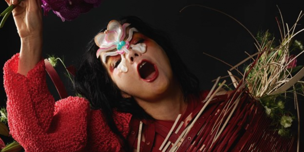 Último álbum de Björk é uma obra de arte