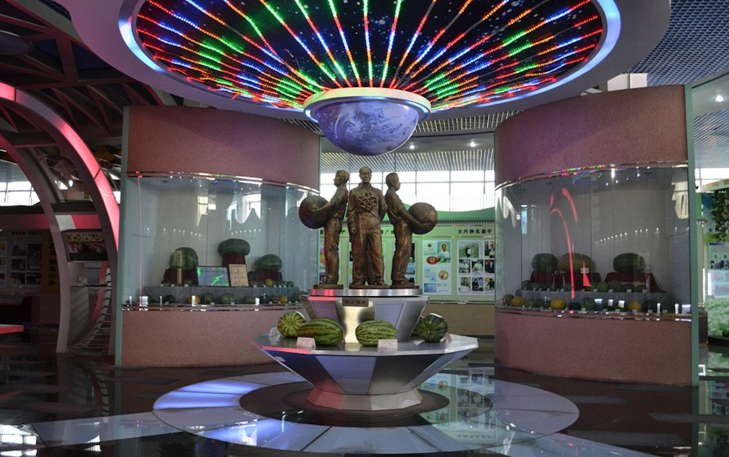 watermelon museum beijing
