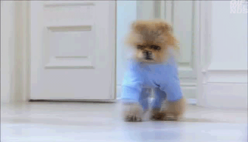 worst hookup ever gif 5