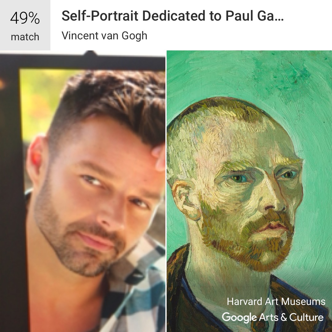 google arts and culture ricky martin