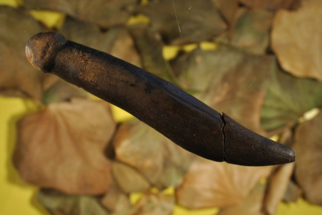 stone age penis sculpture, penis sculpture 12 penis heykeli