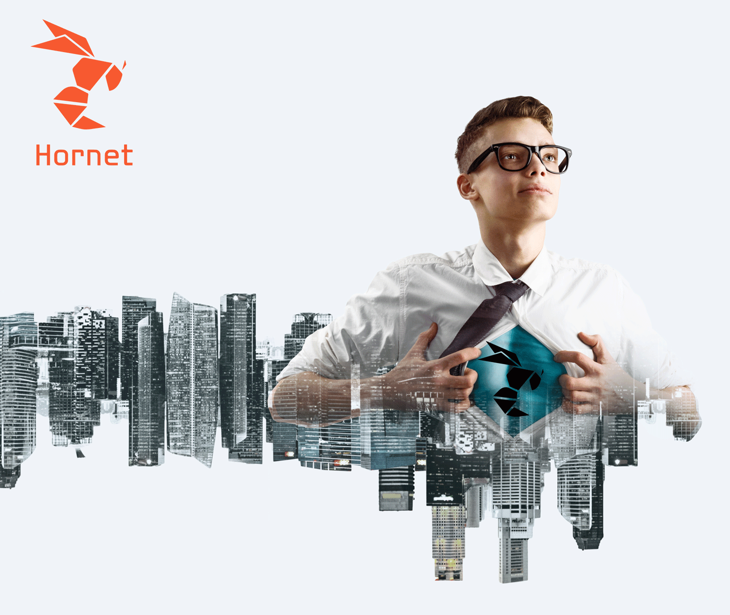 hornet city ambassador