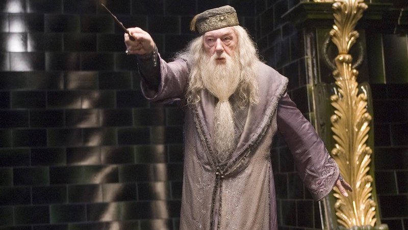 Dumbledore is gay 02