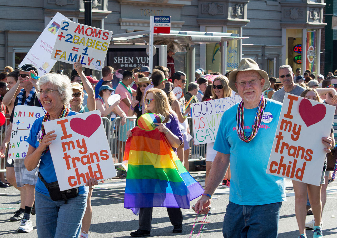 pflag history