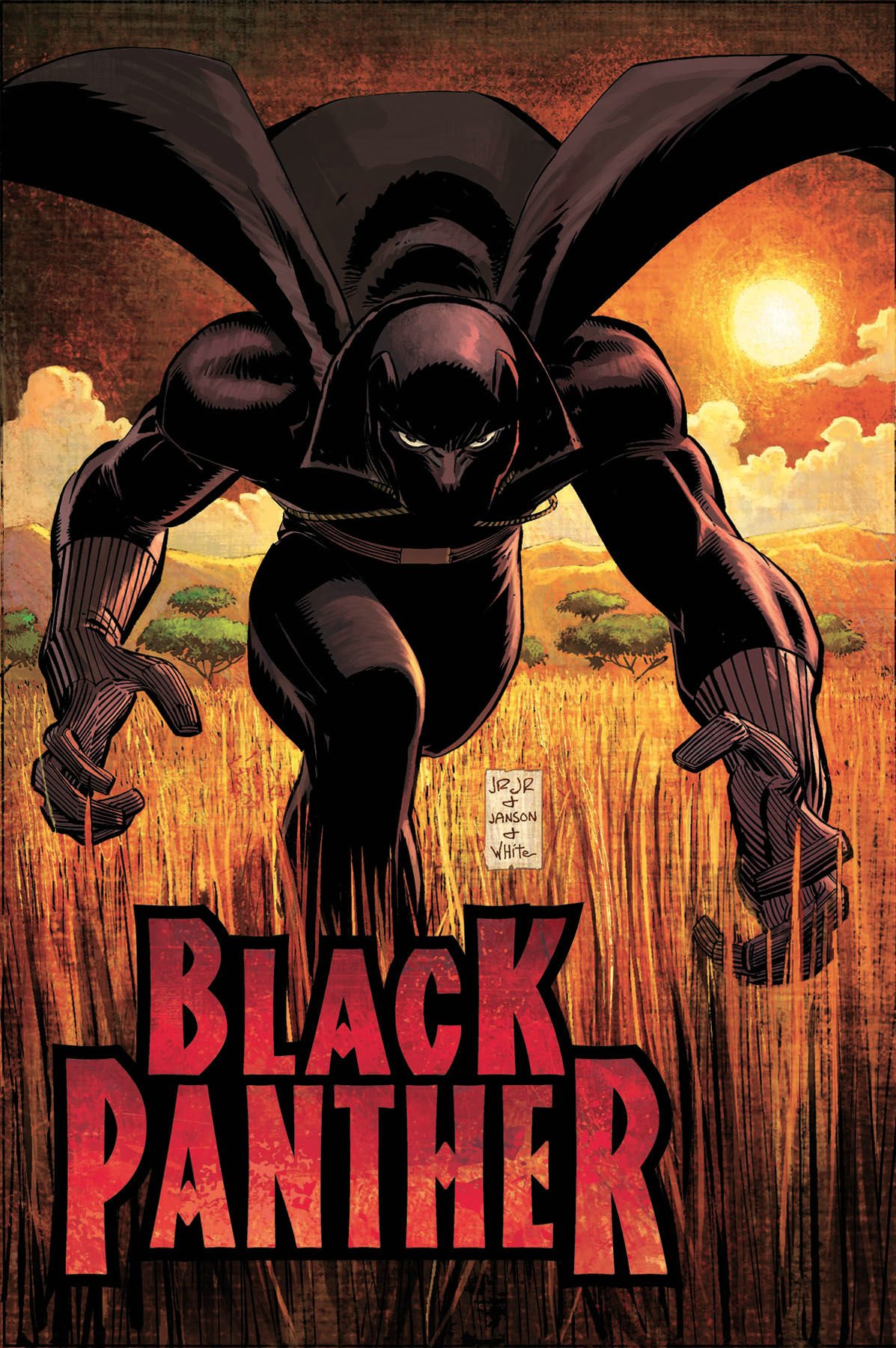 who is the black panther