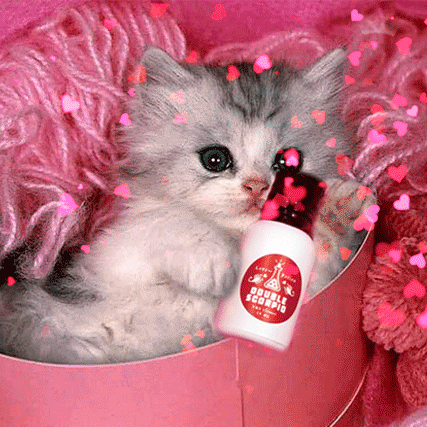 double scorpio poppers kitty gif