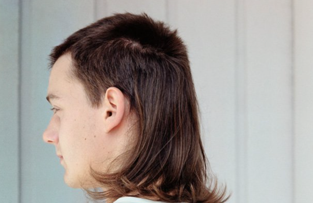 bad hair do mullet