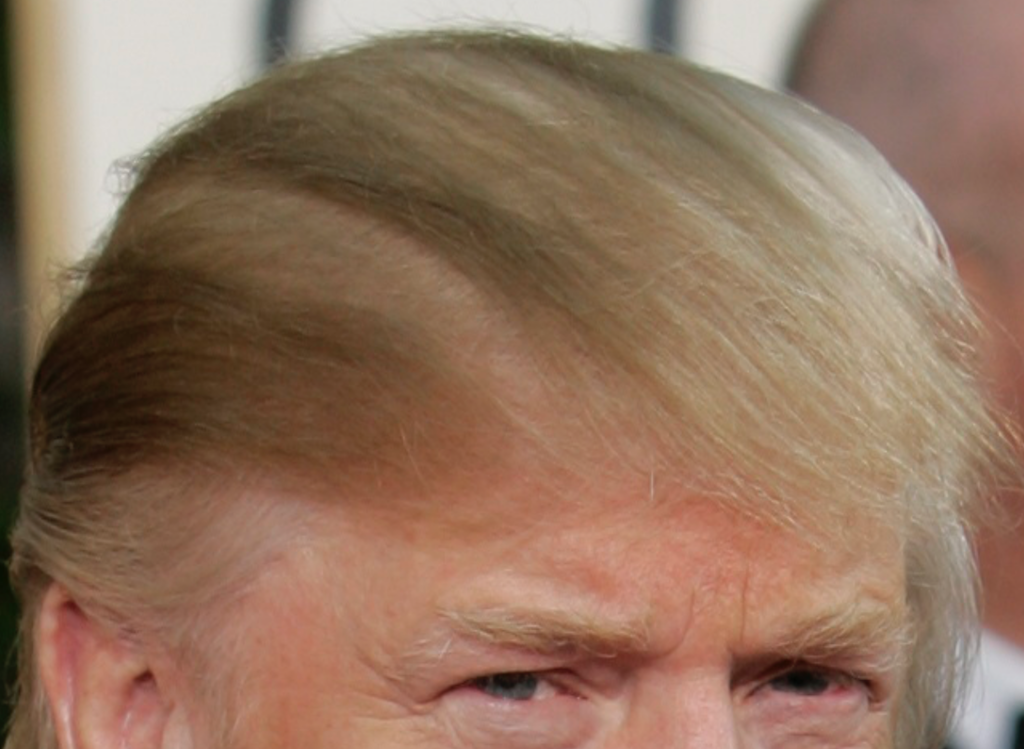 bad hair do trump