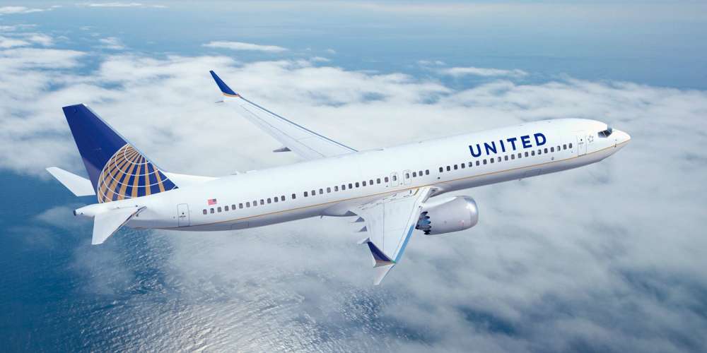 A Dog Died After a United Flight Attendant Forced It to Fly in an Overhead Bin