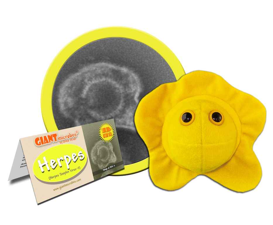 current obsession herpes plush toy