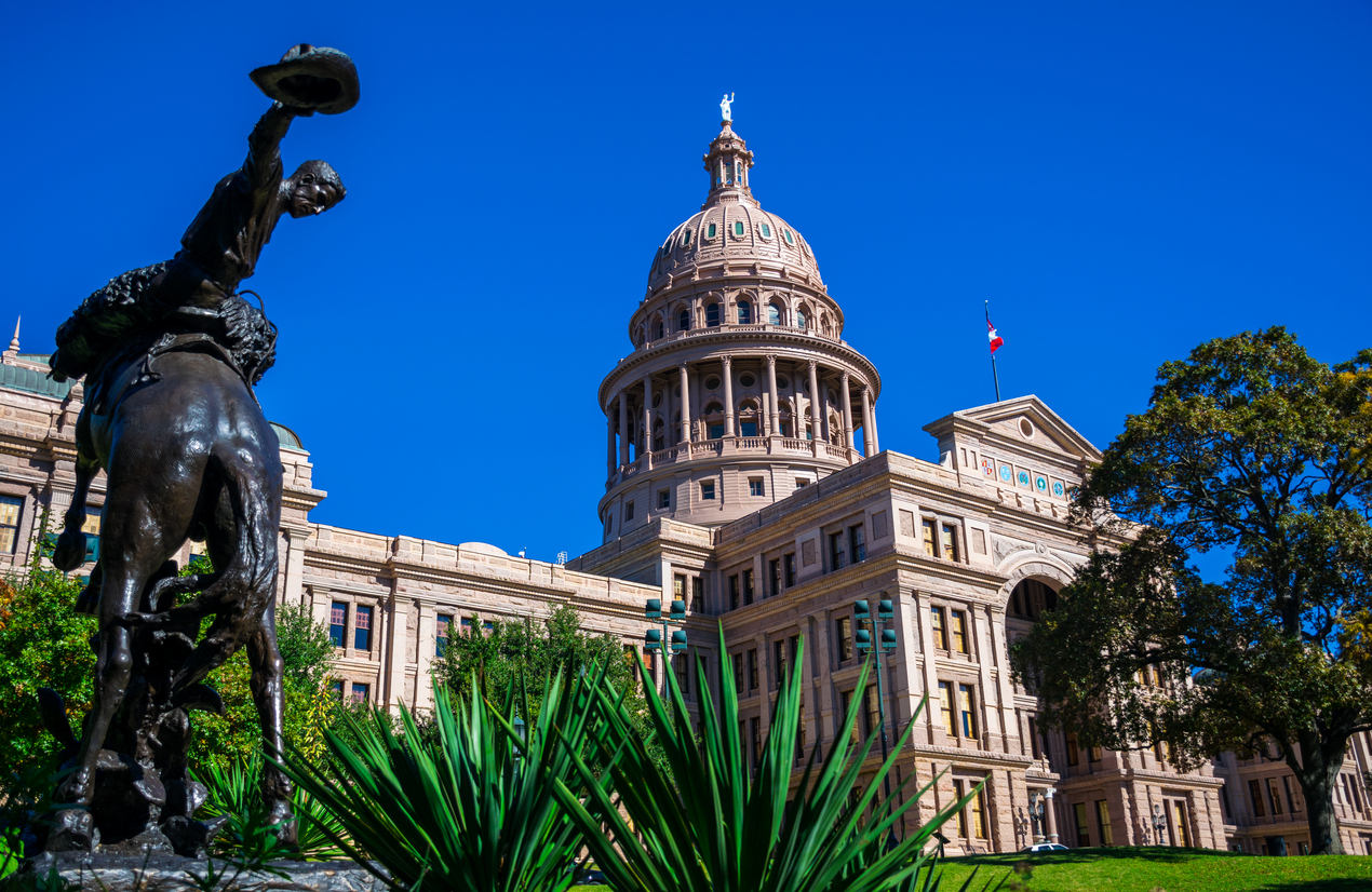 Texas log cabin republicans 03