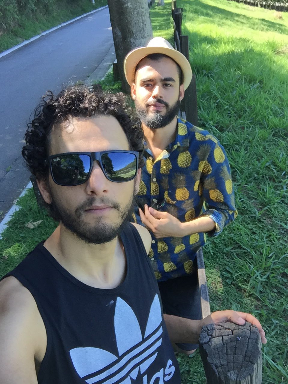 casal Hornet abril