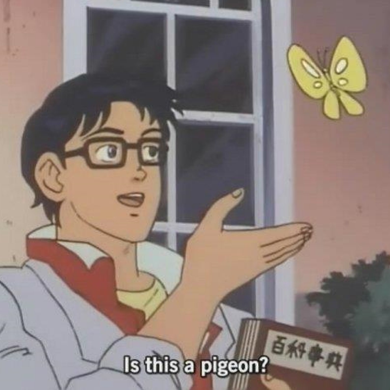 is this a pigeon original meme