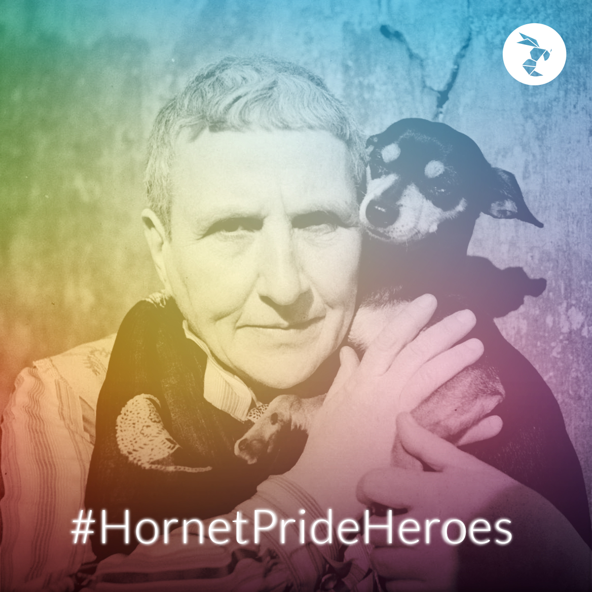 Hornet Pride Heroes gertrude stein