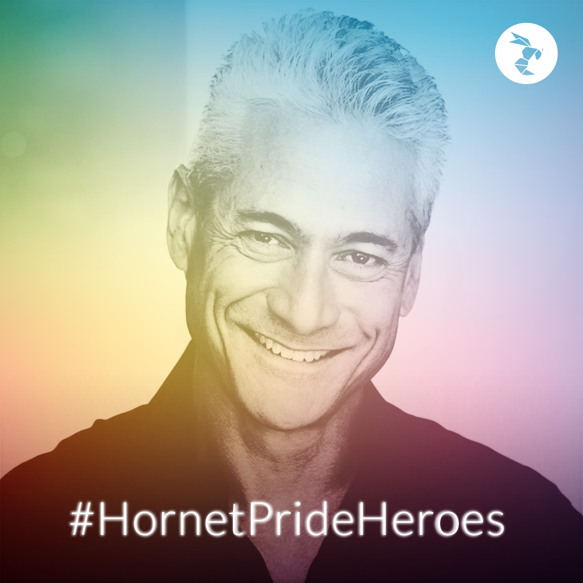 Hornet Pride Heroes greg louganis