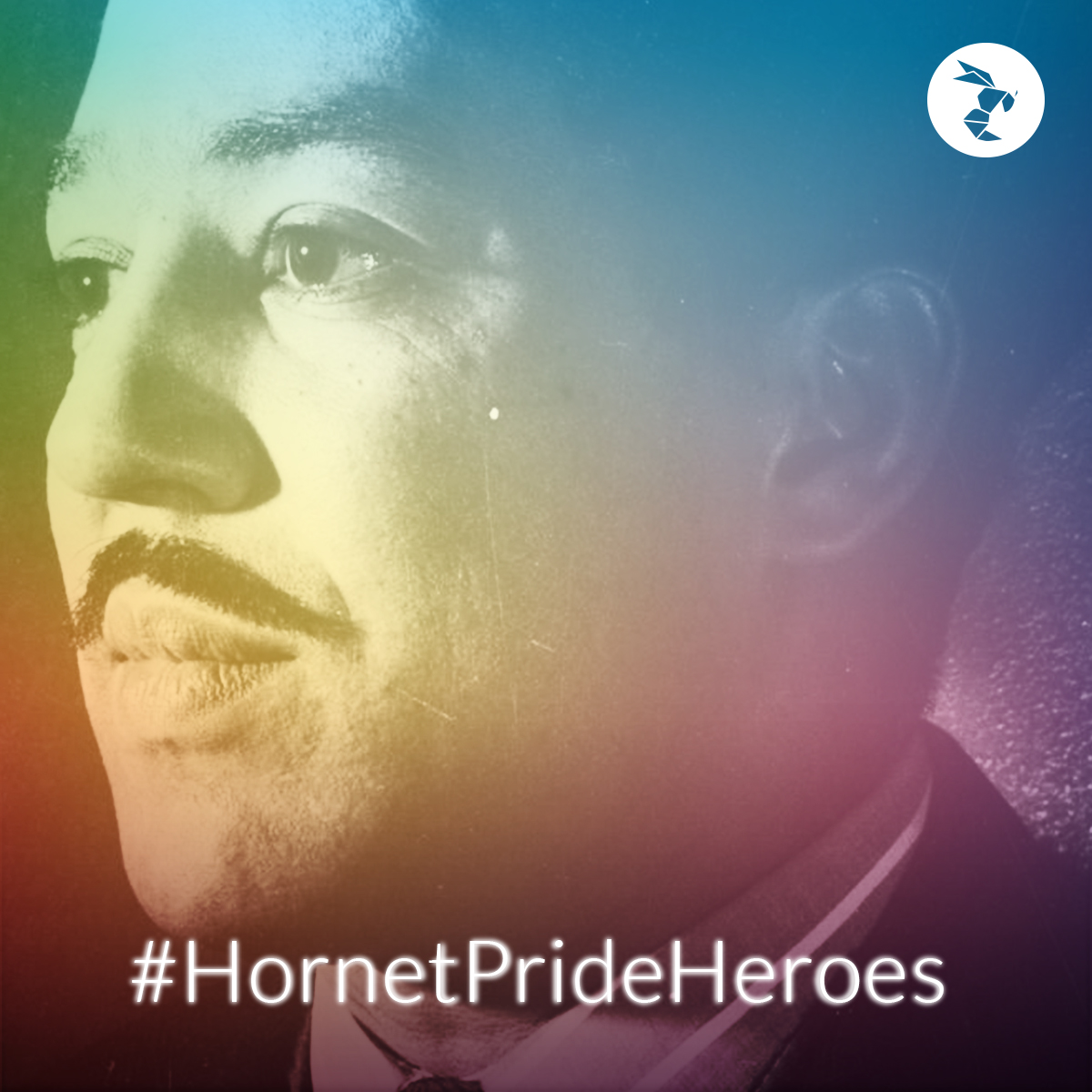 Hornet Pride Heroes langston hughes