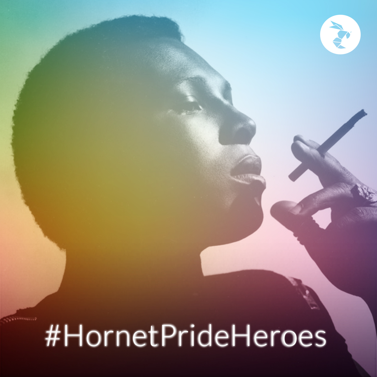 Hornet Pride Heroes sylvester