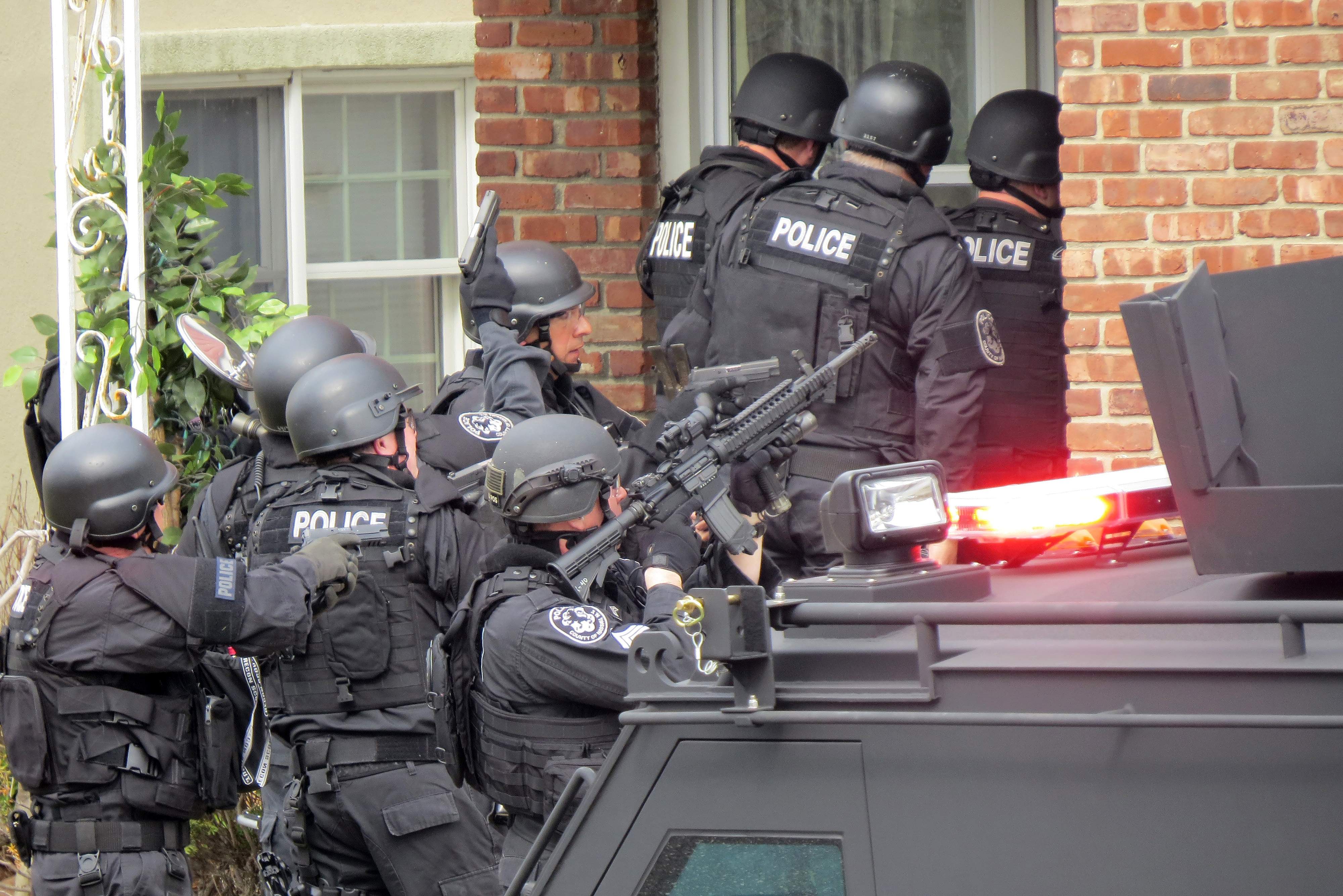 david hogg swatting image