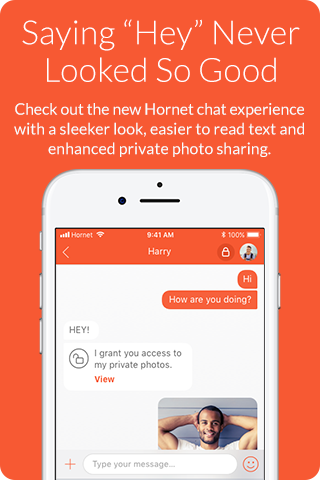 hornet new chat 3