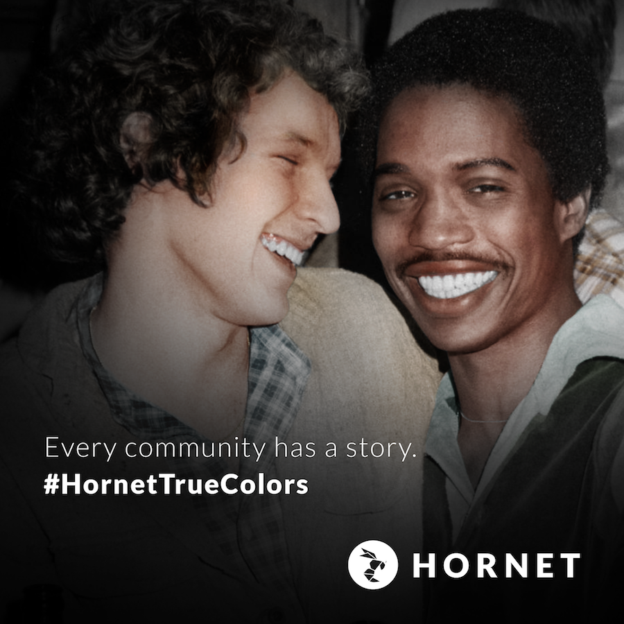 hornet true colors 1