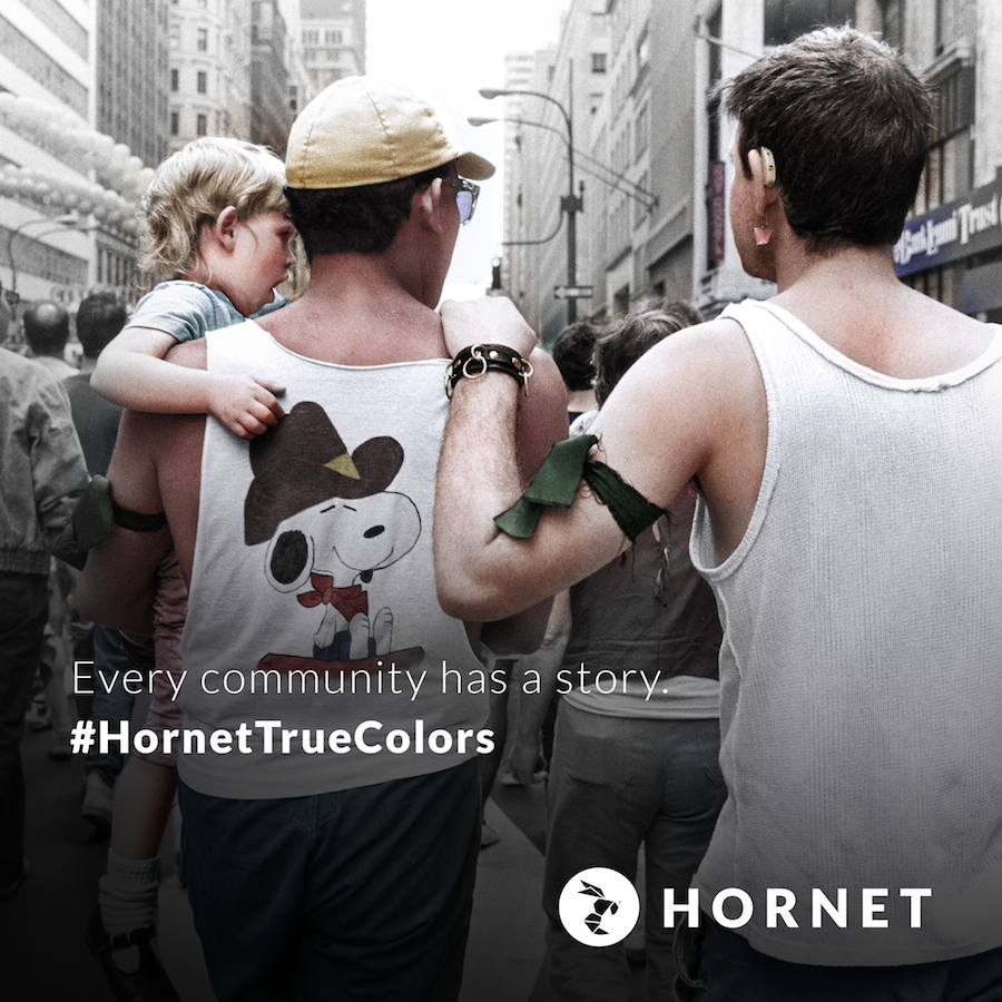 hornet true colors 5